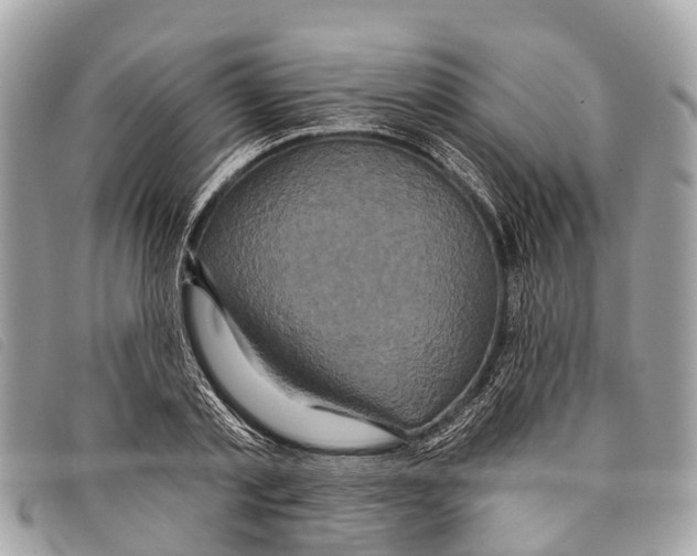 X0000097850789200804111127