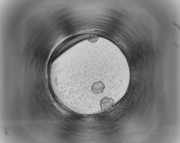 X0000097850792200804111127