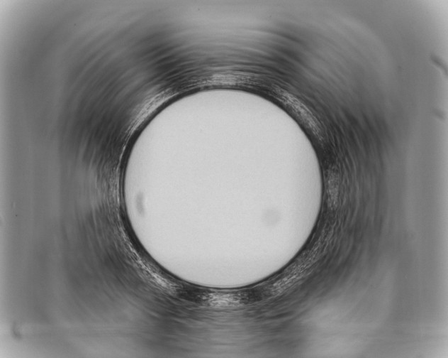 X0000097850794200804111127