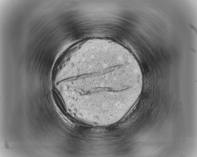 X0000097850795200804111127