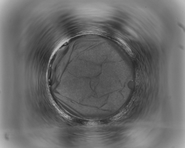 X0000097850796200804111127