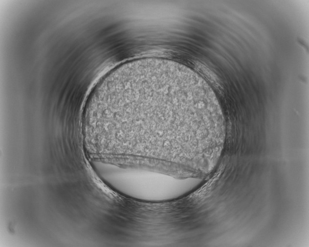 X0000097850800200804111127