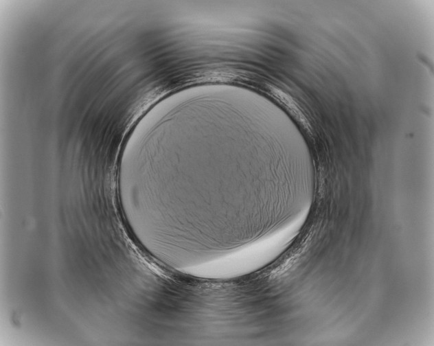 X0000097850802200804111127