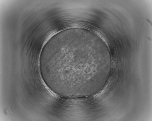 X0000097850803200804111127