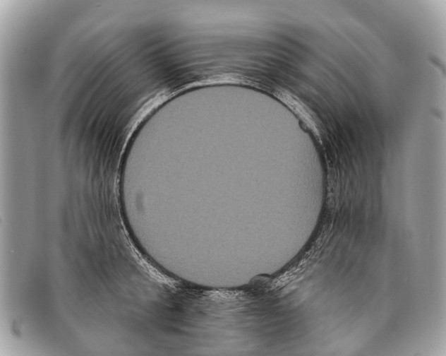 X0000097850805200804111127