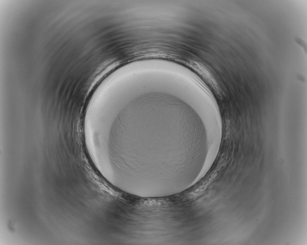 X0000097850806200804111127