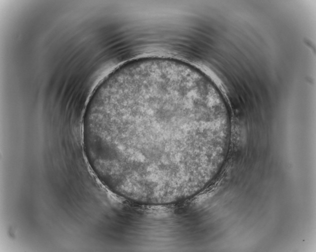 X0000097850807200804111127