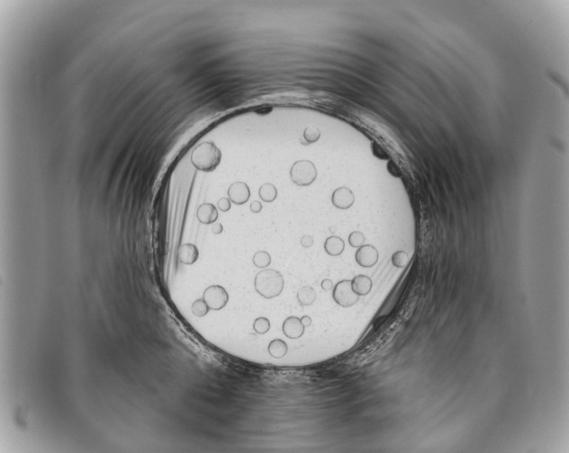 X0000097850808200804111127