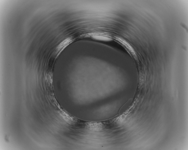 X0000097850809200804111127