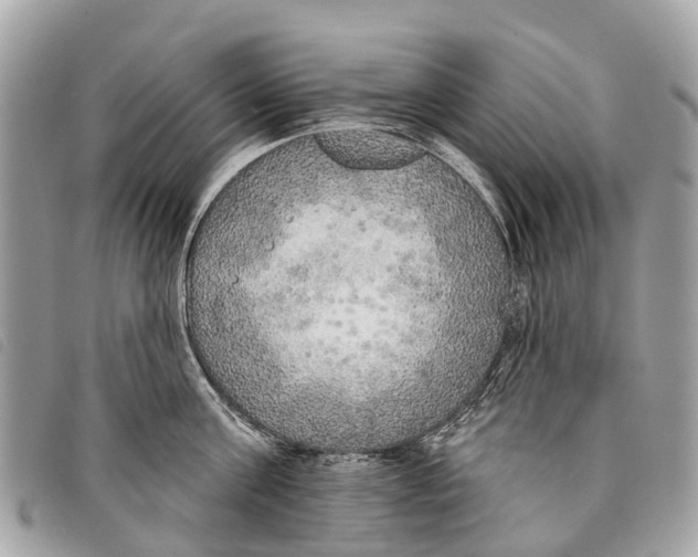 X0000097850811200804111127