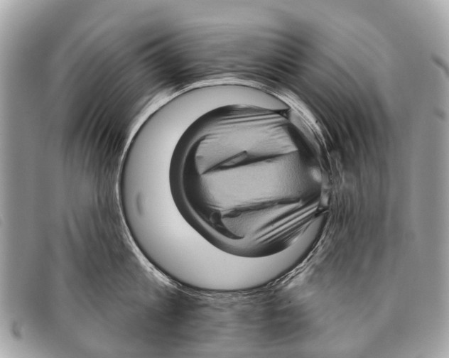 X0000097850813200804111127