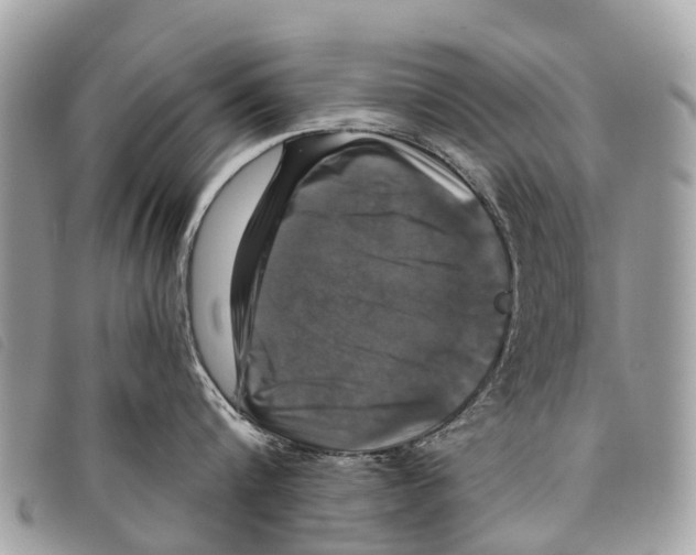 X0000097850816200804111127