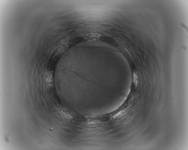 X0000097850818200804111126