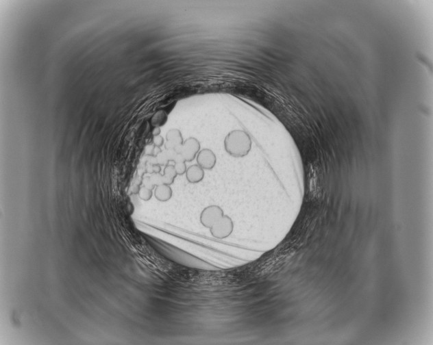 X0000097850819200804111126