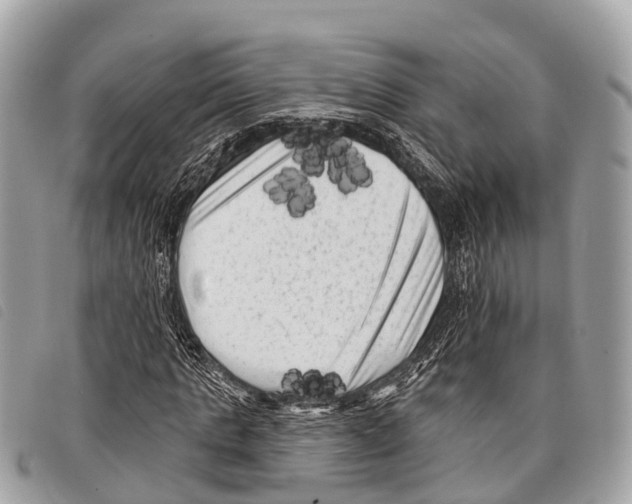 X0000097850821200804111126