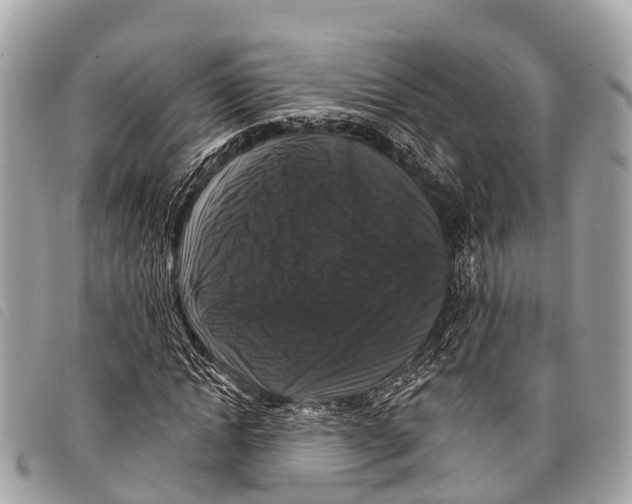 X0000097850822200804111126