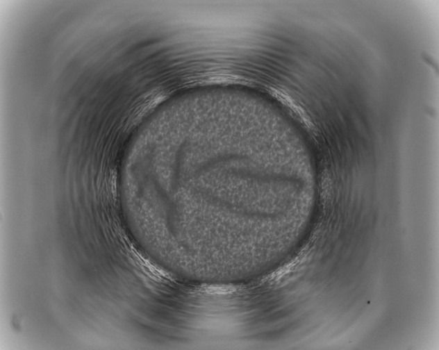 X0000097850825200804111126