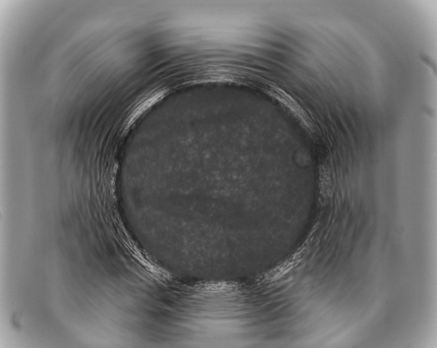 X0000097850826200804111126