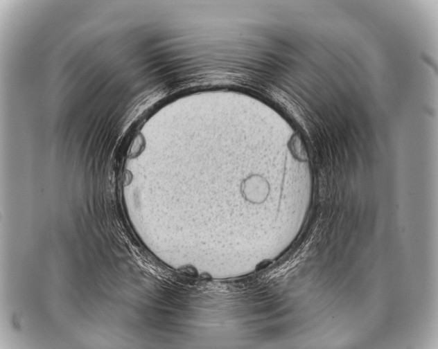 X0000097850827200804111126