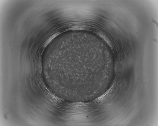 X0000097850829200804111126