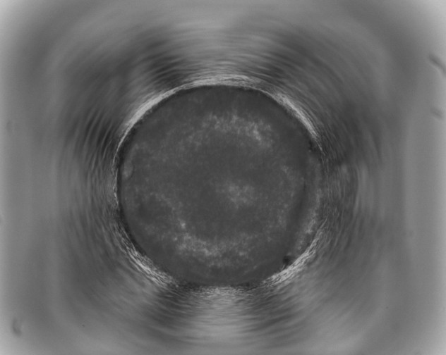 X0000097850830200804111126