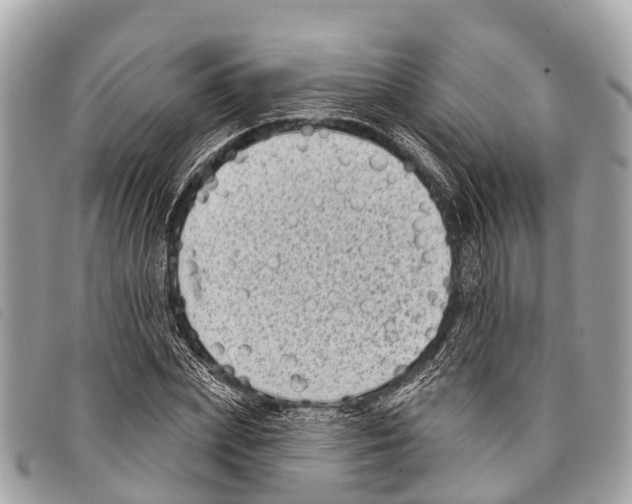 X0000097850831200804111126