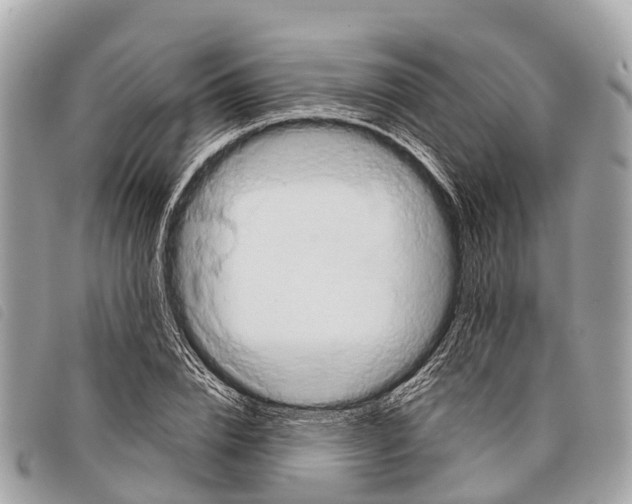 X0000097850832200804111126