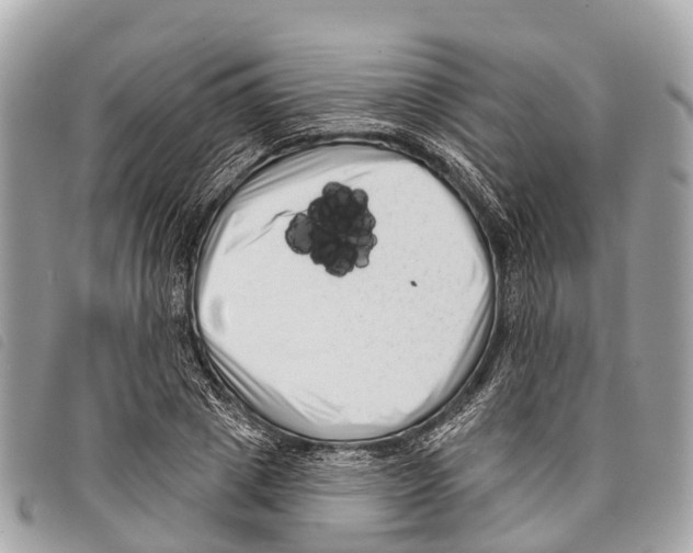 X0000097850833200804111126