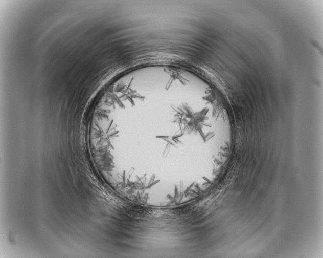 X0000097850835200804111127