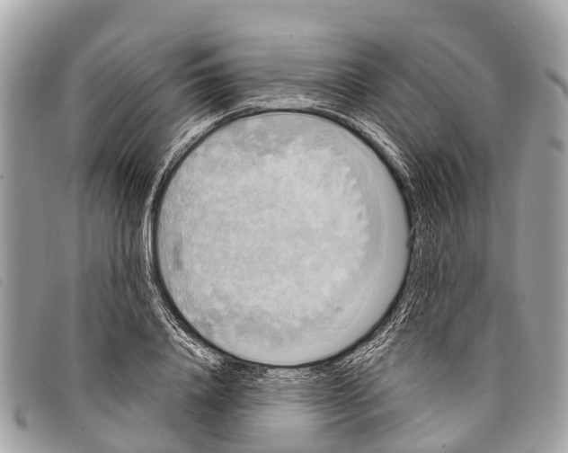 X0000097850840200804111127