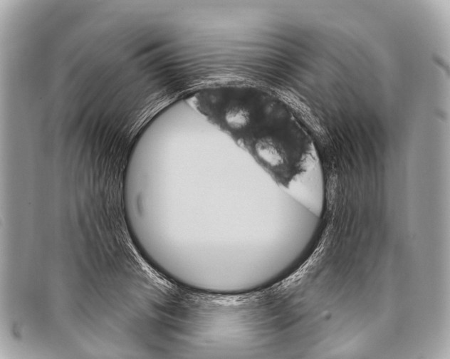 X0000097850841200804111127