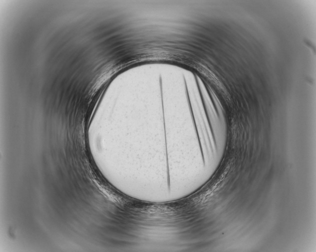 X0000097850842200804111127