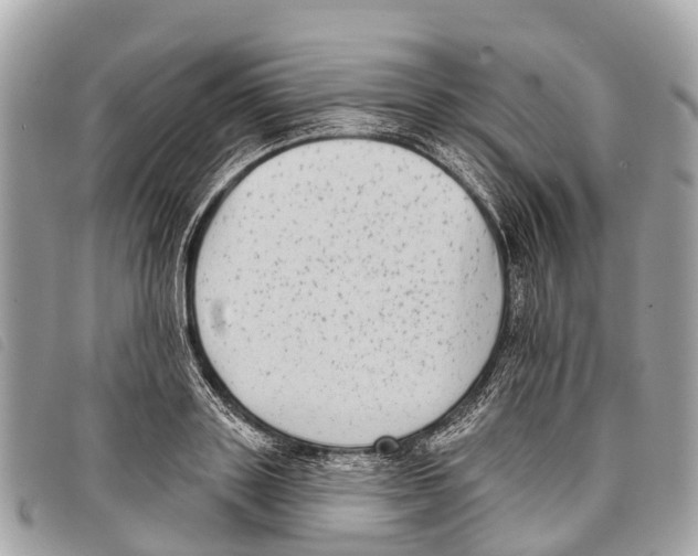 X0000097850843200804111127