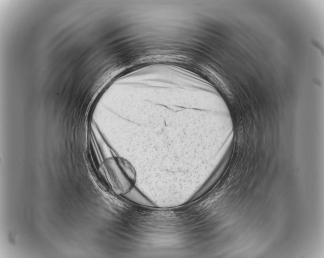 X0000097850844200804111127