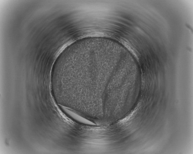 X0000097850845200804111127