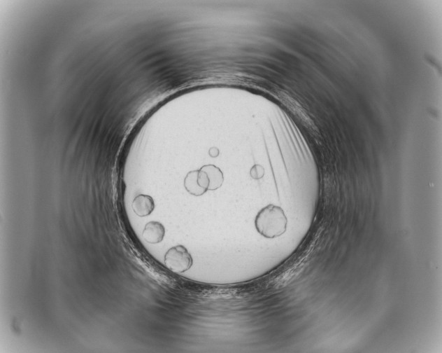 X0000097850846200804111127