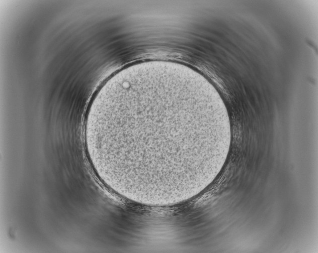 X0000097850848200804111127