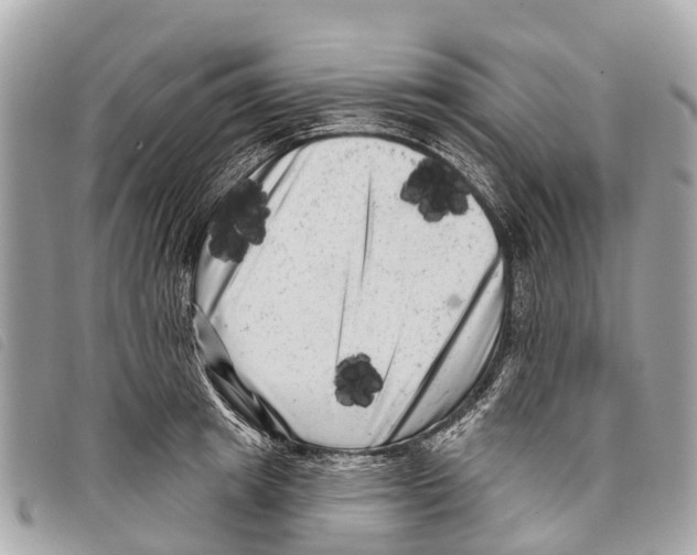 X0000097850849200804111127