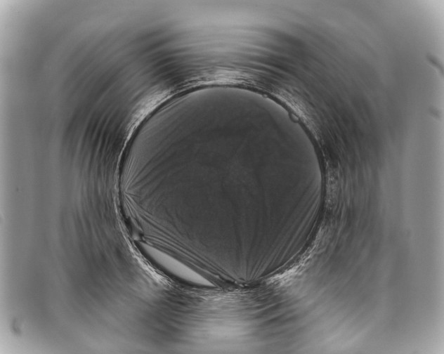 X0000097850850200804111127