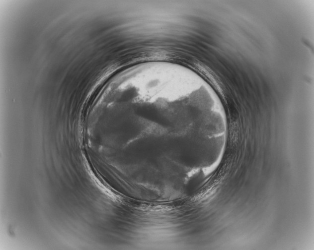 X0000097850851200804111127