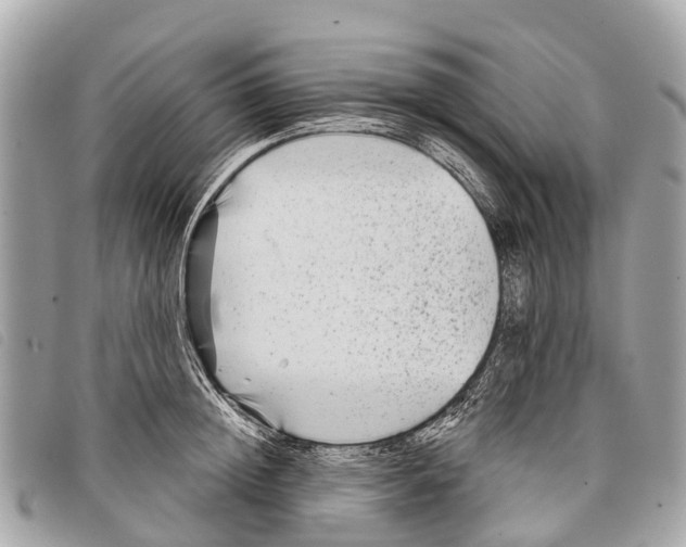 X0000097850852200804111127