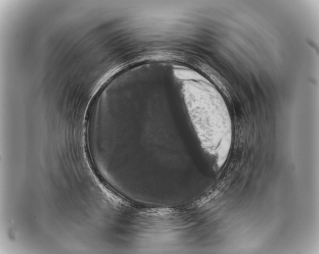 X0000097850853200804111127