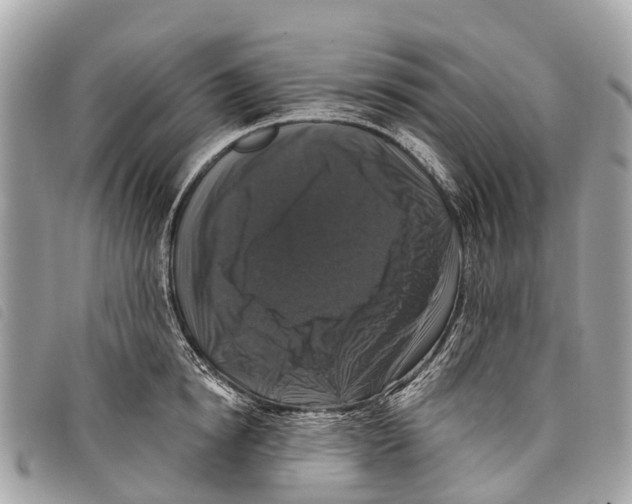 X0000097850854200804111127