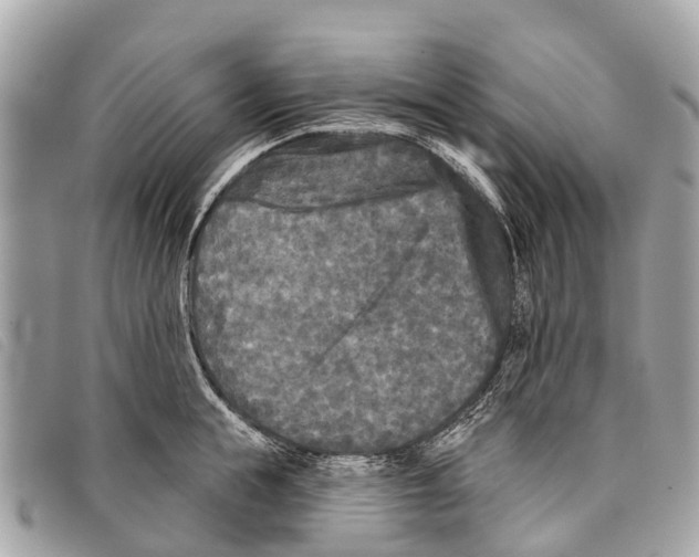 X0000097850855200804111127