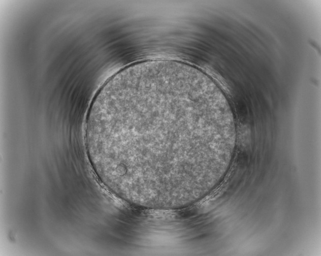 X0000097850856200804111127