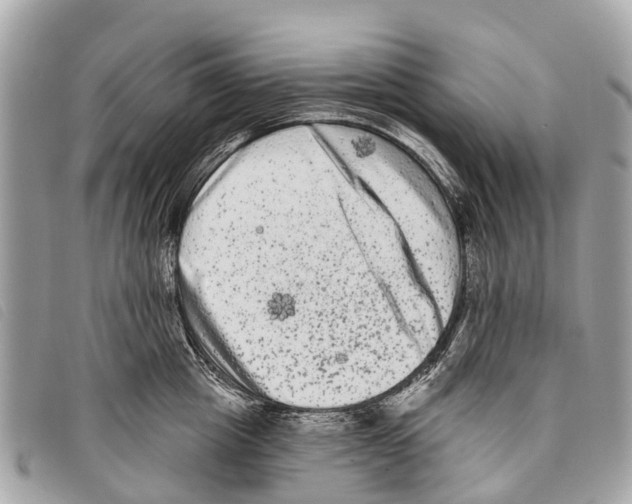 X0000097850857200804111127