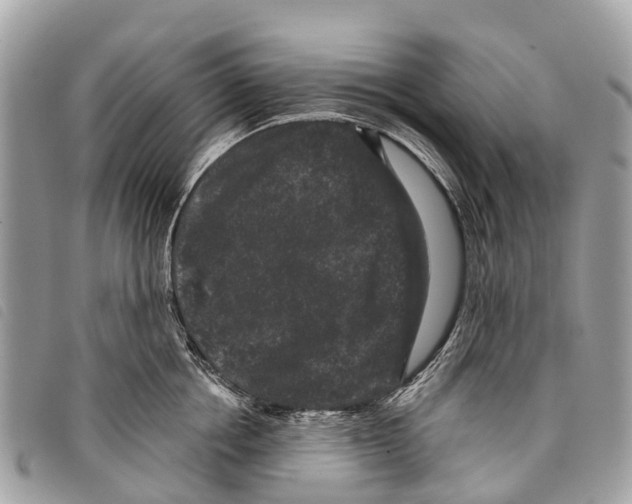 X0000097850858200804111127