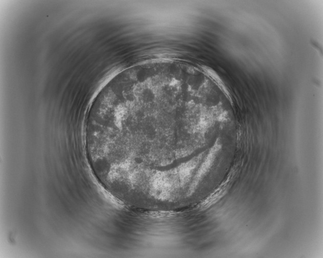 X0000097850859200804111127