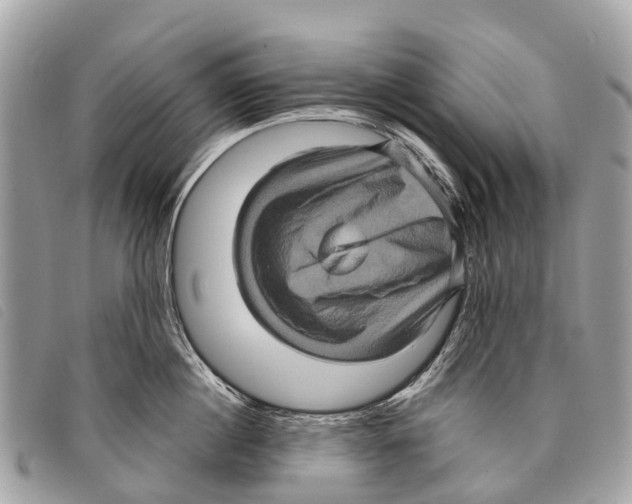 X0000097850860200804111127