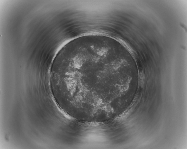 X0000097850862200804111127